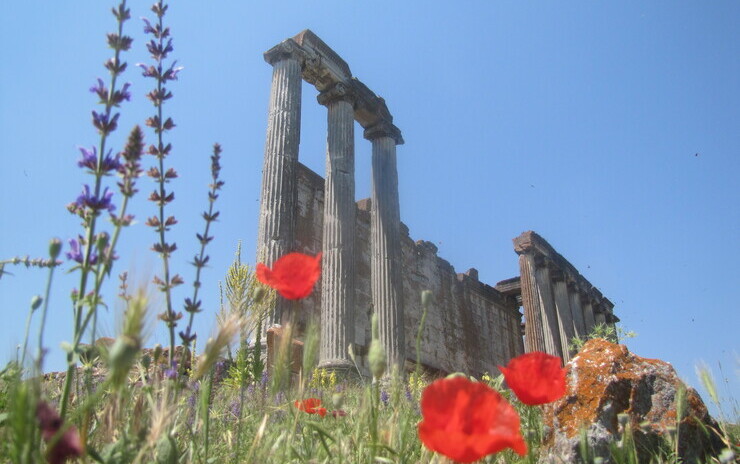 Kütahya, Uşak ve Afyon