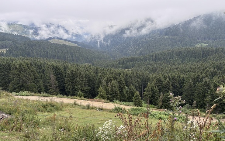 Orta Karadeniz: Samsun, Ordu ve Giresun turu