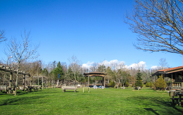 Longoz Ormanları ve İğneada