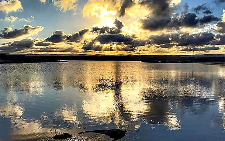 Longoz Ormanları ve İğneada