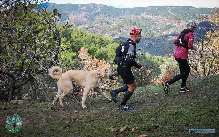 İda Ultra, Yeşilyurt Köyü-Ayvacık, Çanakkale - 04+05.12.2021