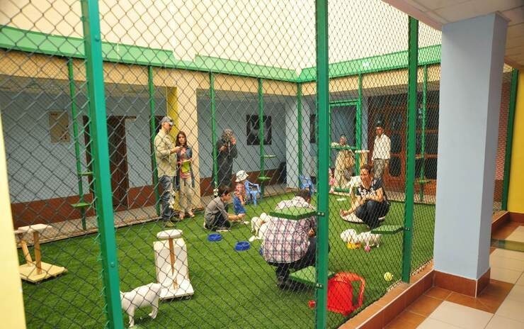 Van Gölü Havzası ve Balık Göçü: Van, Ağrı ve Bitlis