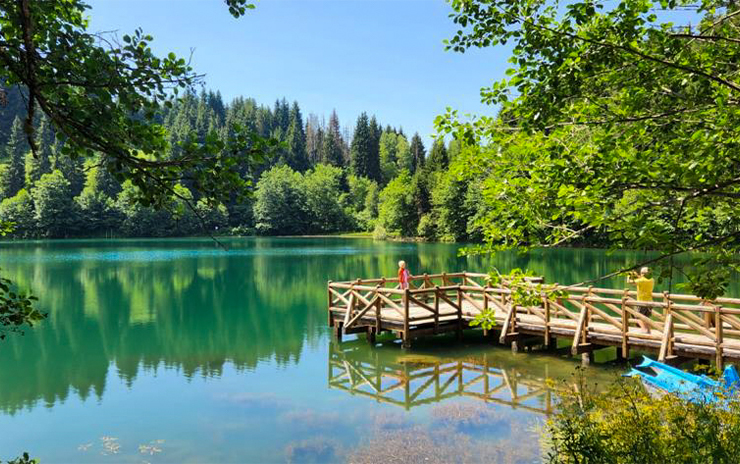 Doğu Karadeniz Yaylaları Macahel ve Şavşat Artvin