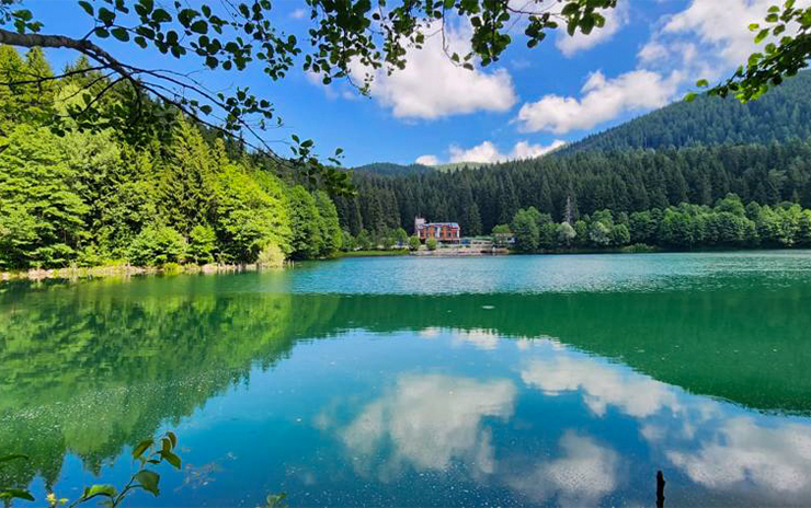 Doğu Karadeniz Yaylaları Macahel ve Şavşat Artvin