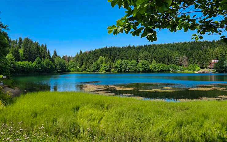 Doğu Karadeniz Yaylaları Macahel ve Şavşat Artvin