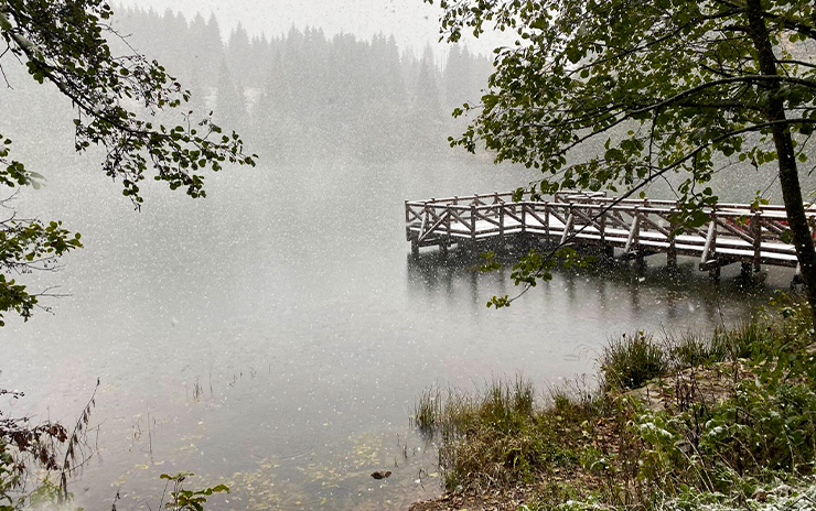 Doğu Karadeniz Yaylaları Macahel ve Şavşat Artvin