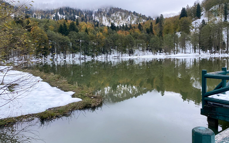Doğu Karadeniz Yaylaları Macahel ve Şavşat Artvin