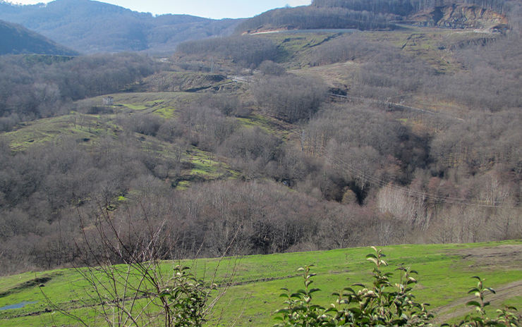 Longoz Ormanları ve İğneada