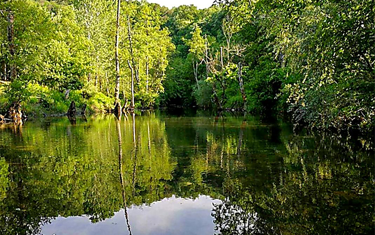 Longoz Ormanları ve İğneada
