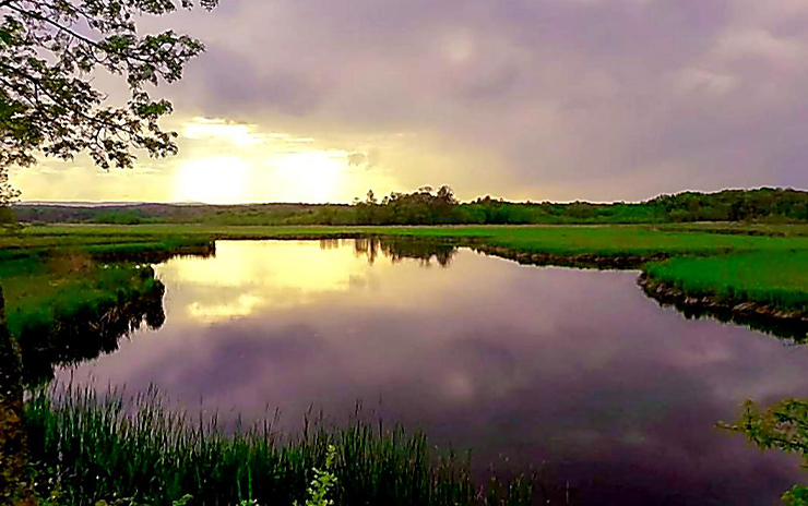 Longoz Ormanları ve İğneada
