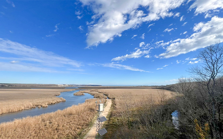 Longoz Ormanları ve İğneada